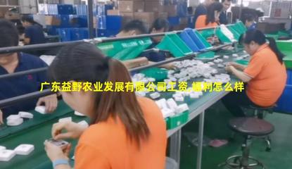 廣東益野農業 領航畜牧漁業飼料銷售，助推現代農牧業發展